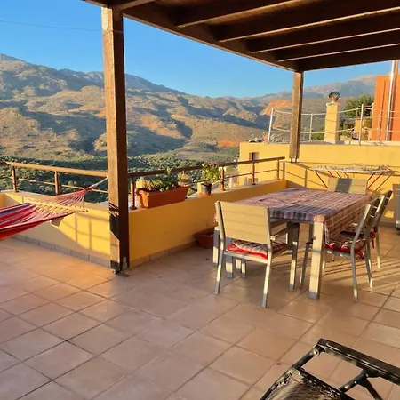 Plum Tree With Panoramic Views
